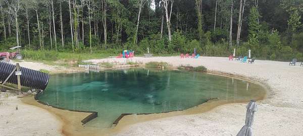 15.2 Acres of Land for Sale in Coffee Springs, Alabama