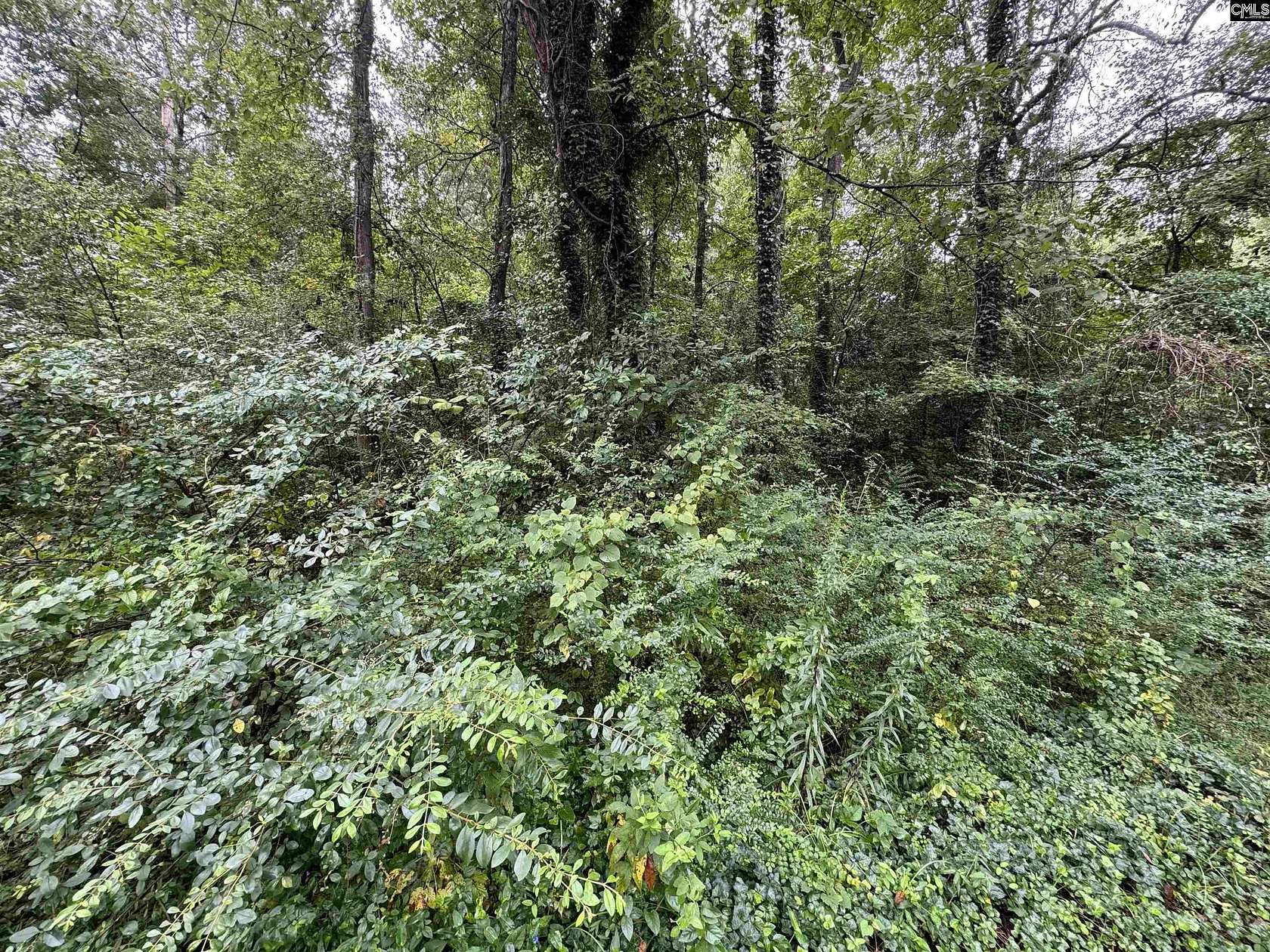 1.76 Acres of Residential Land for Sale in Columbia, South Carolina