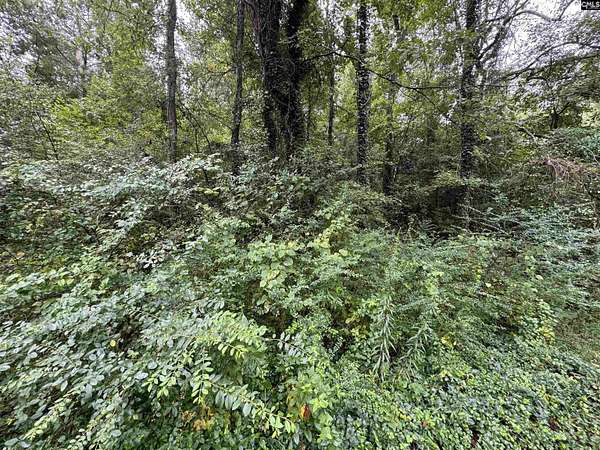 1.76 Acres of Residential Land for Sale in Columbia, South Carolina