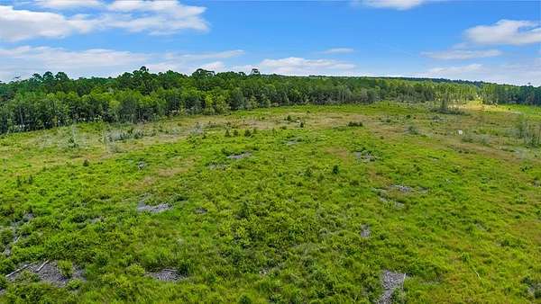 4.8 Acres of Land for Sale in Jasper, Texas