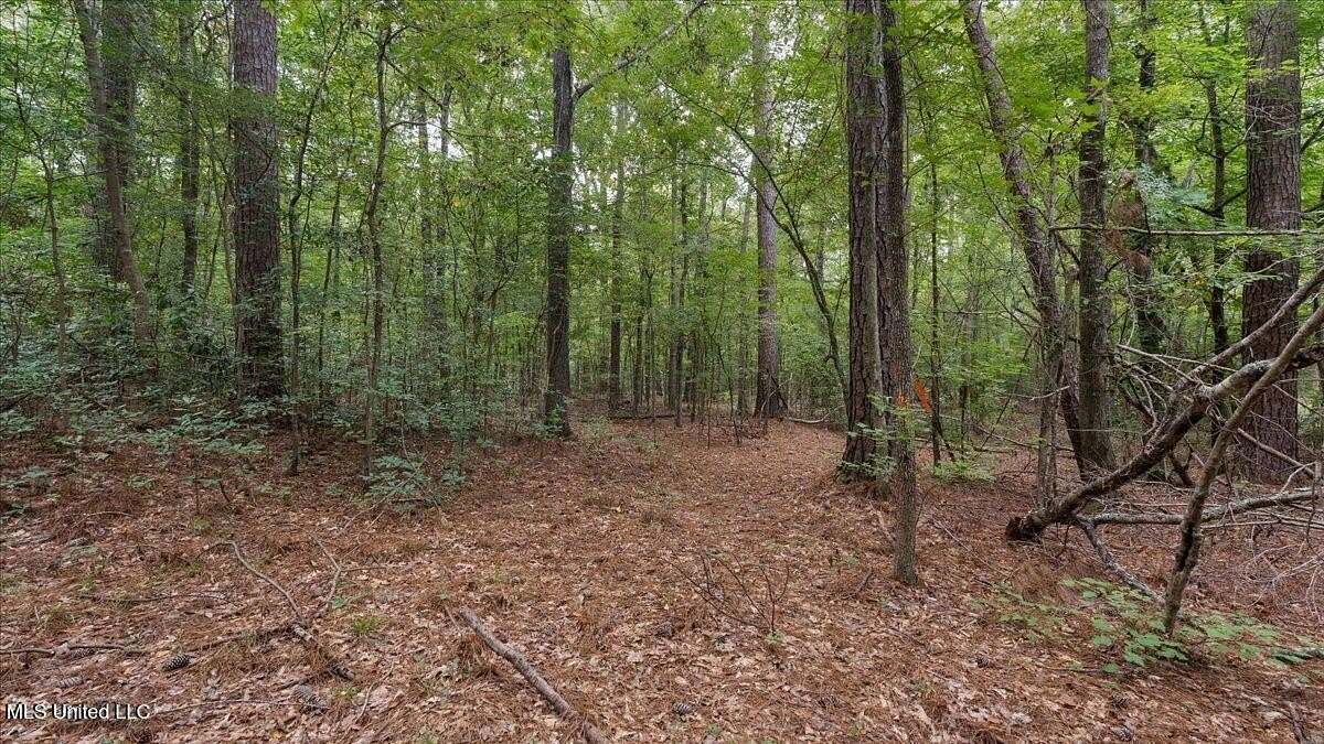 31 Acres of Recreational Land for Sale in Pearl, Mississippi