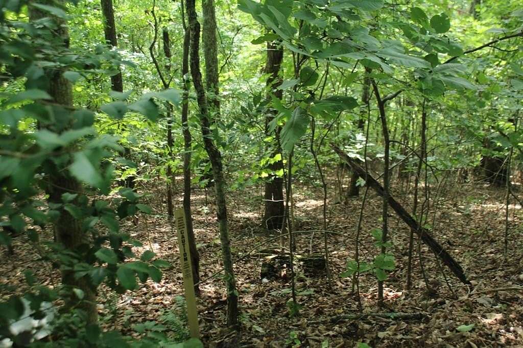 1.3 Acres of Land for Sale in Hayesville, North Carolina