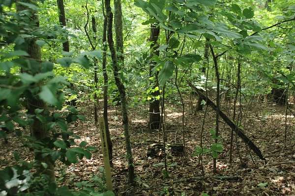 1.3 Acres of Land for Sale in Hayesville, North Carolina