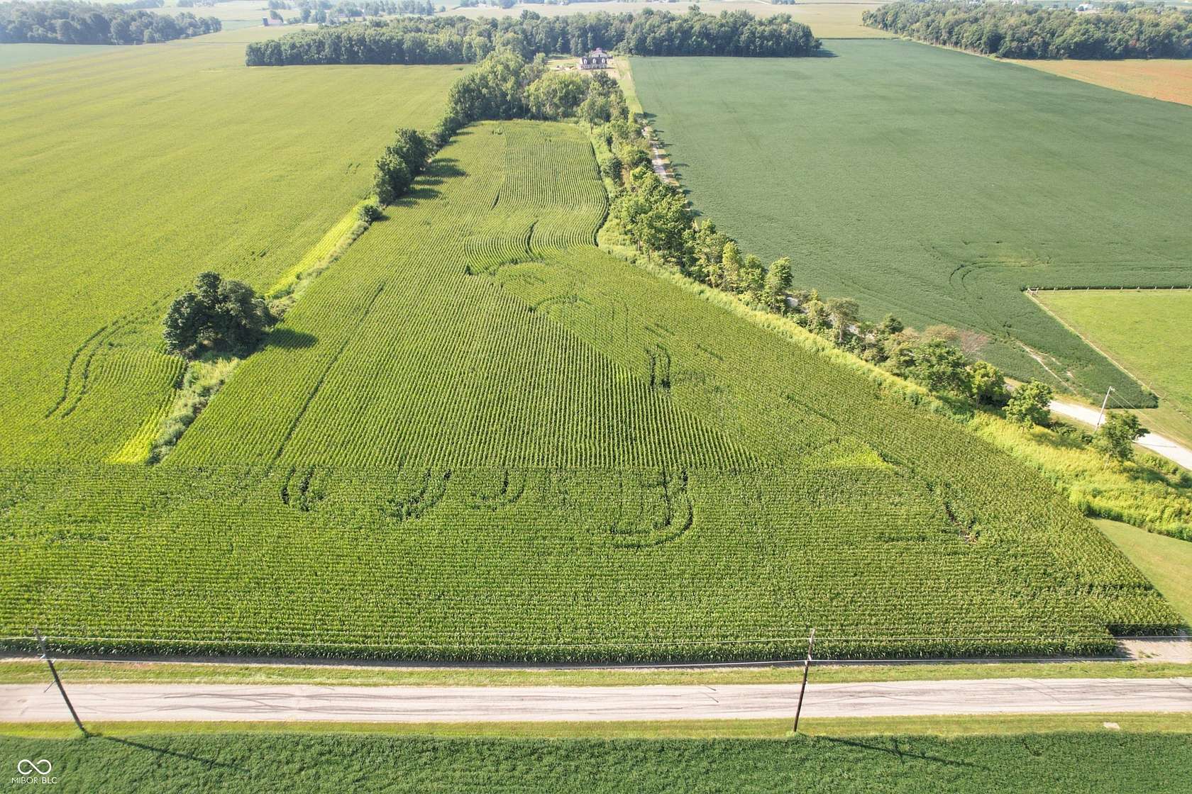10.1 Acres of Agricultural Land for Sale in Middletown, Indiana