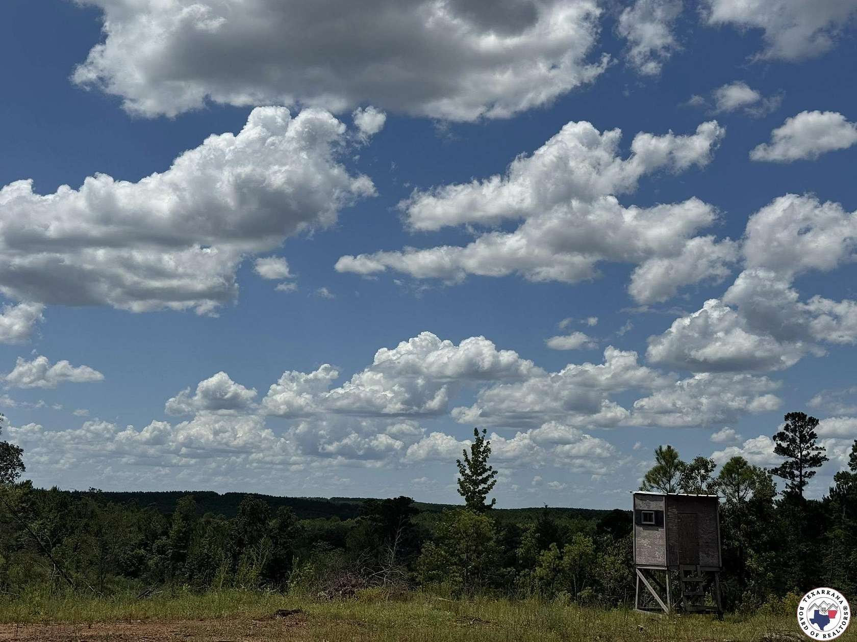 88.5 Acres of Land for Sale in Linden, Texas