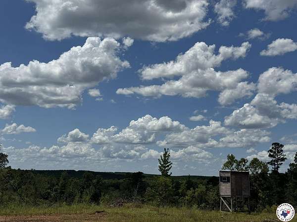 88.5 Acres of Land for Sale in Linden, Texas