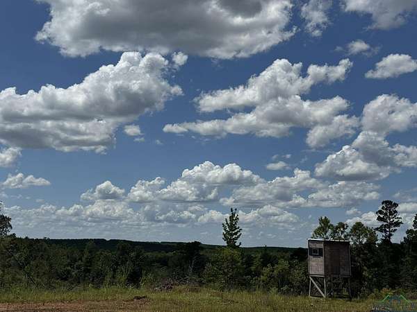 88.5 Acres of Land for Sale in Linden, Texas