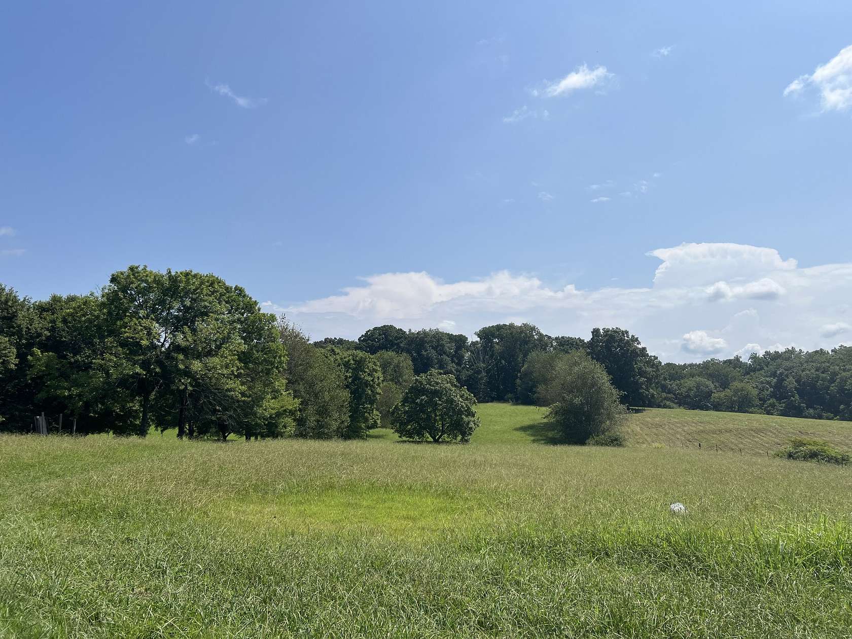 8 Acres of Residential Land for Sale in Mount Juliet, Tennessee