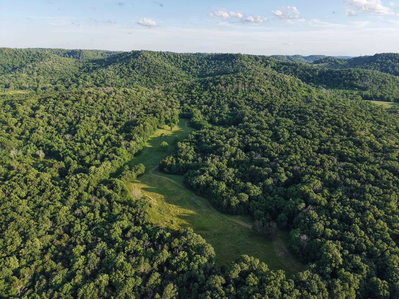95 Acres of Agricultural Land for Sale in Christiana, Tennessee