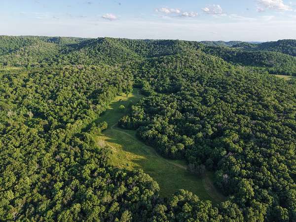 95 Acres of Agricultural Land for Sale in Christiana, Tennessee