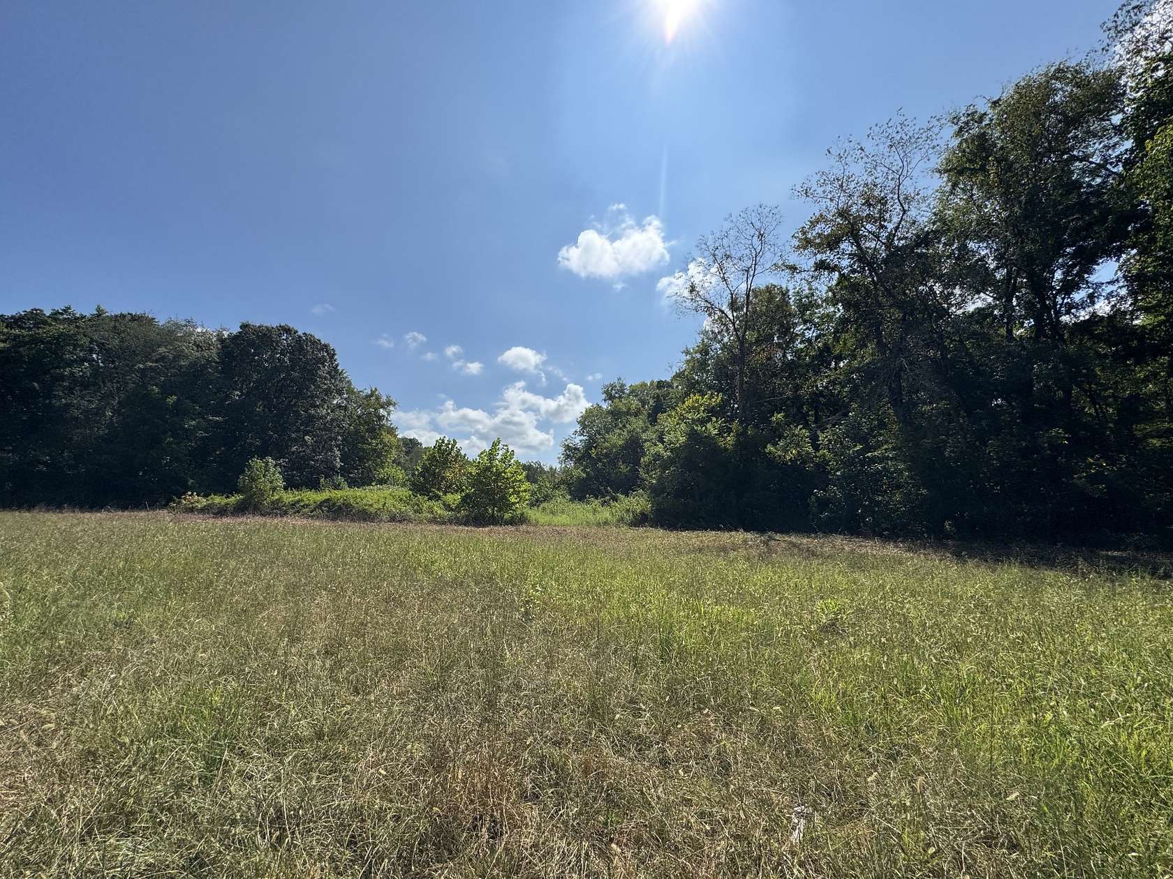 10 Acres of Residential Land with Home for Sale in Erin, Tennessee