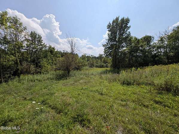 2.39 Acres of Residential Land for Sale in Duanesburg, New York