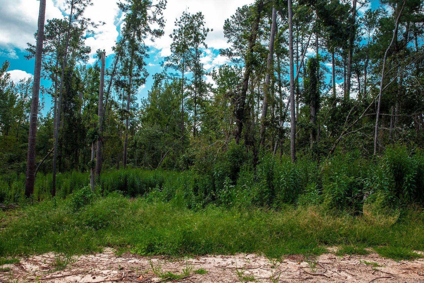 Residential Land for Sale in Clarks Hill, South Carolina