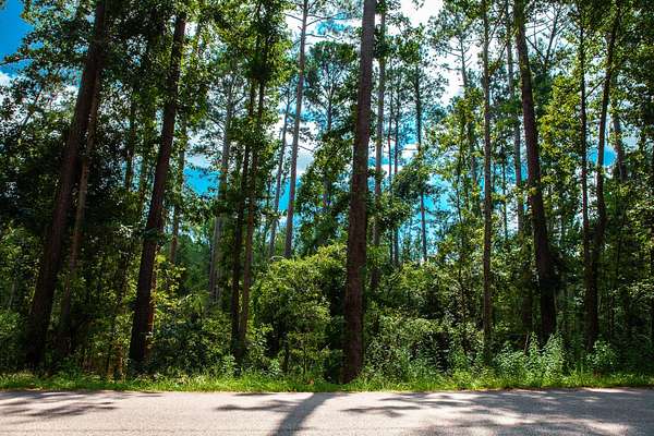 Residential Land for Sale in Clarks Hill, South Carolina