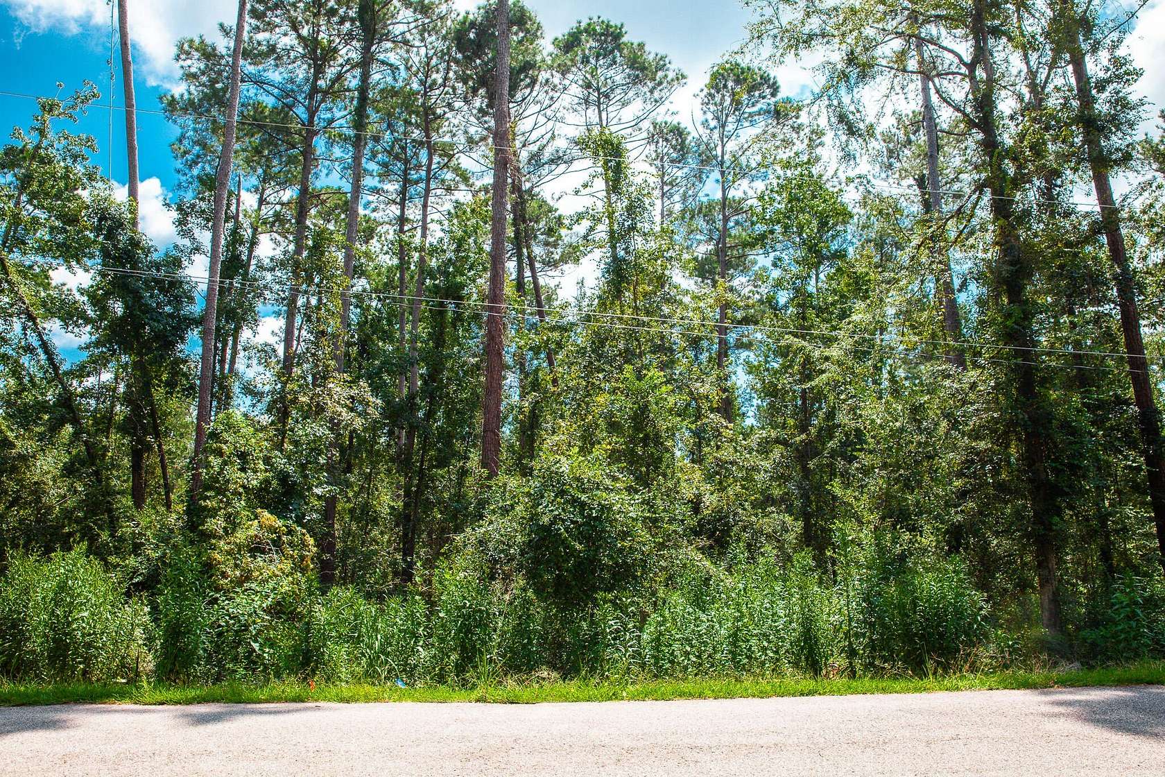 Residential Land for Sale in Clarks Hill, South Carolina