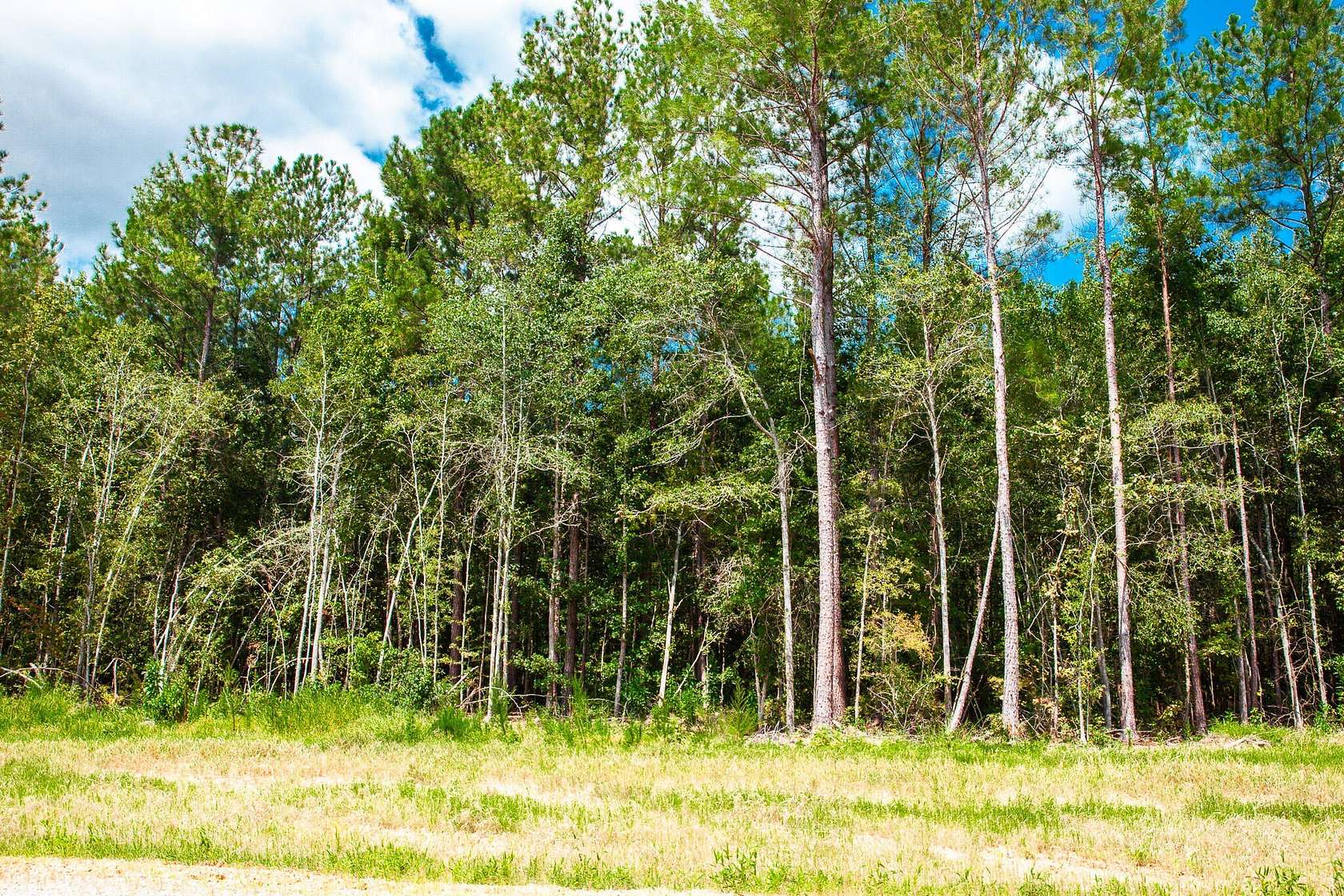 Residential Land for Sale in Clarks Hill, South Carolina