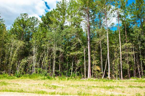 Residential Land for Sale in Clarks Hill, South Carolina