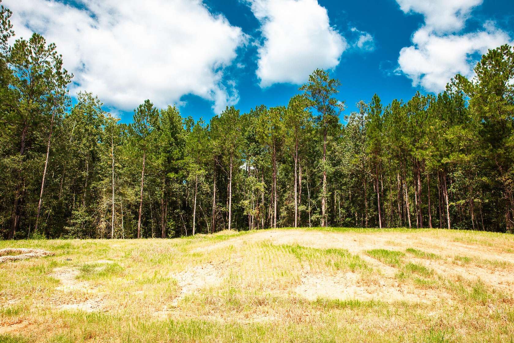 Residential Land for Sale in Clarks Hill, South Carolina