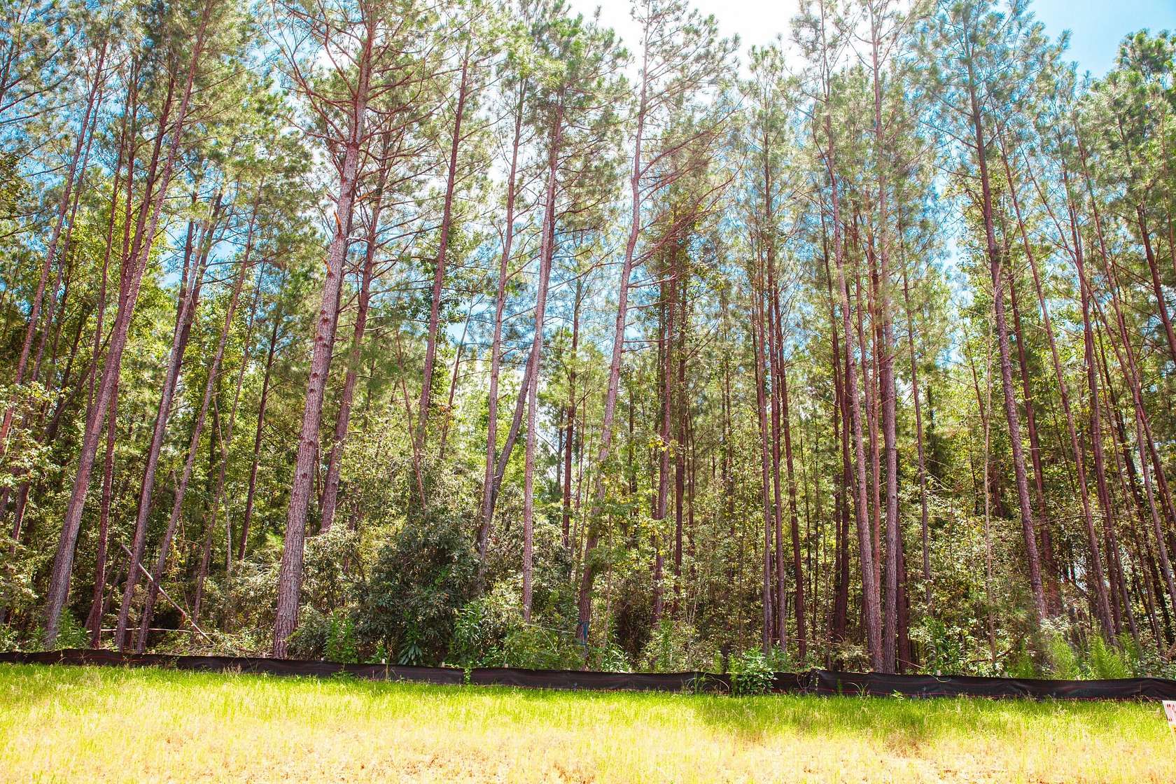 Residential Land for Sale in Clarks Hill, South Carolina