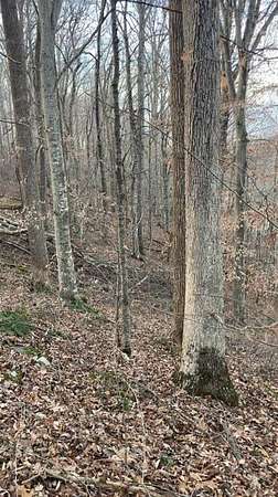 14 Acres of Recreational & Residential Land for Sale in Burkesville, Kentucky