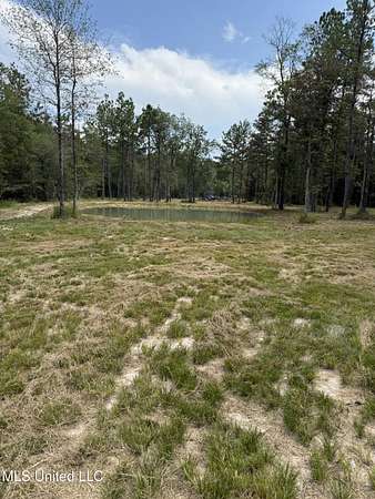 25 Acres of Recreational Land for Sale in Wiggins, Mississippi