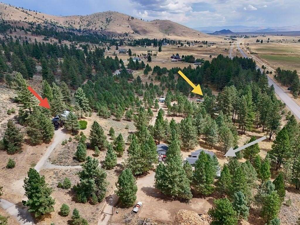 18.7 Acres of Land with Home for Sale in Beckwourth, California