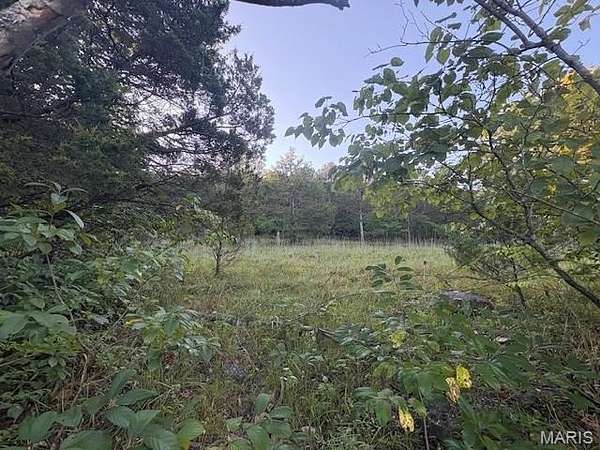 0.21 Acres of Residential Land for Sale in Central Township, Missouri