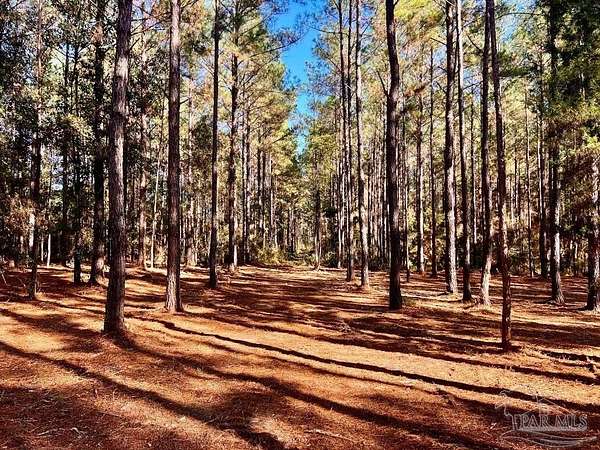 10 Acres of Residential Land for Sale in Jay, Florida