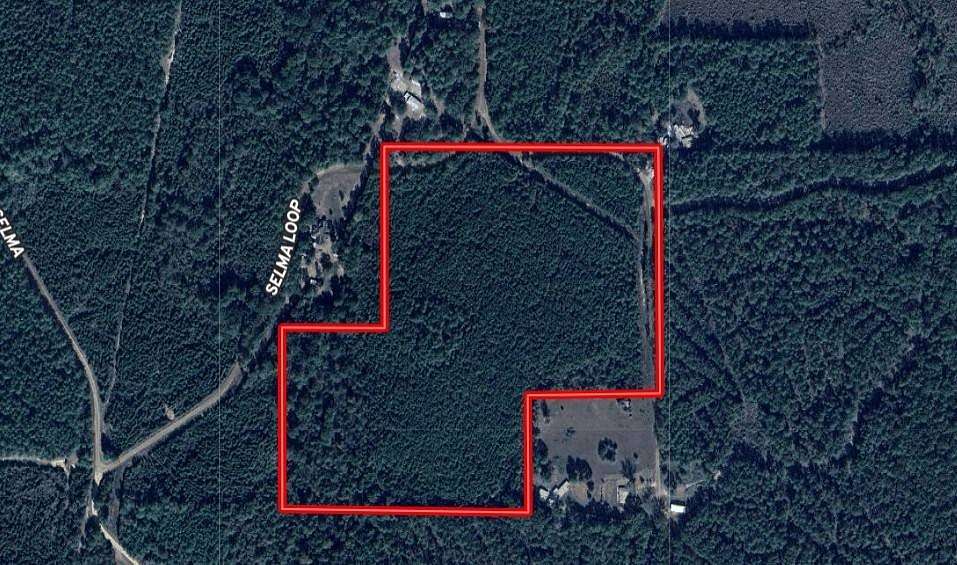 32 Acres of Land for Sale in Georgetown, Louisiana