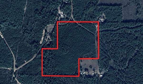 32 Acres of Land for Sale in Georgetown, Louisiana