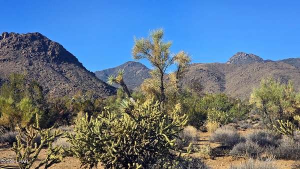 30.6 Acres of Recreational Land for Sale in Yucca, Arizona