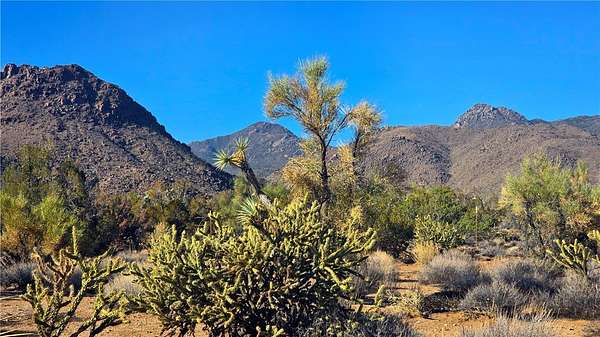 30.6 Acres of Land for Sale in Yucca, Arizona
