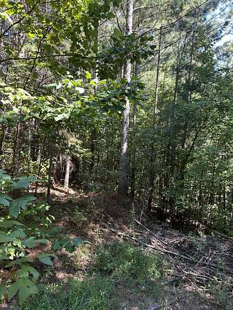 6.53 Acres of Residential Land for Sale in Oldfort, Tennessee