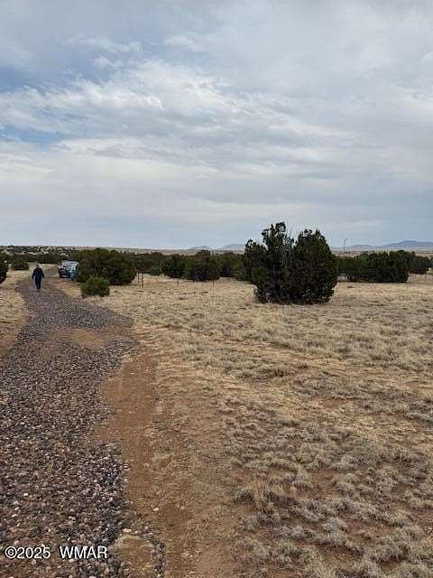 1 Acre of Residential Land for Sale in Concho, Arizona
