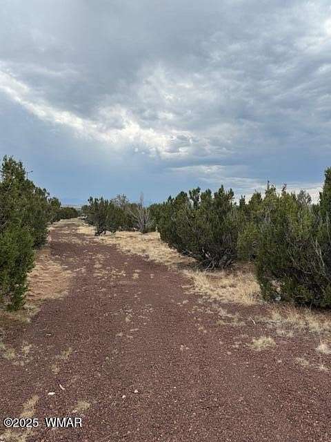 1 Acre of Residential Land for Sale in Concho, Arizona
