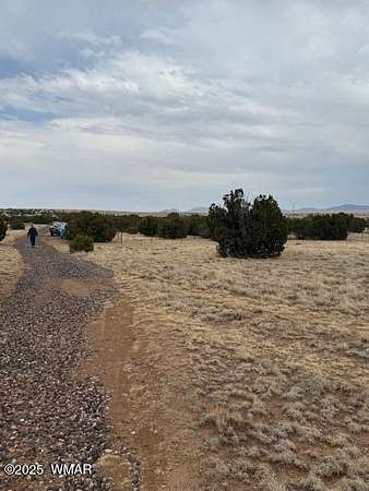 1 Acre of Residential Land for Sale in Concho, Arizona