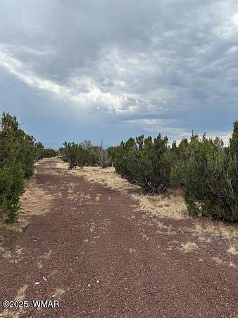 1 Acre of Residential Land for Sale in Concho, Arizona