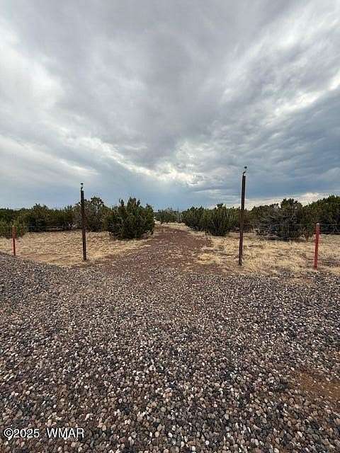 1 Acre of Residential Land for Sale in Concho, Arizona