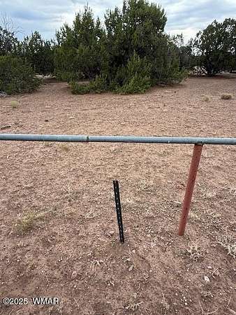 1.25 Acres of Residential Land for Sale in Concho, Arizona