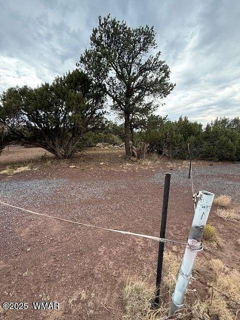 1.44 Acres of Residential Land for Sale in Concho, Arizona