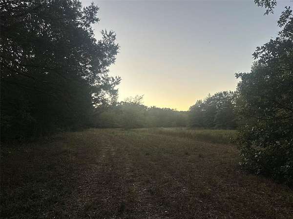 6.29 Acres of Residential Land for Sale in Cooper, Texas