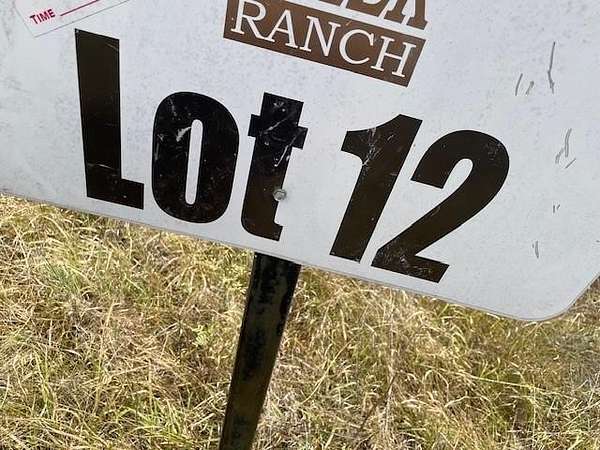 12 Acres of Recreational Land for Sale in Gustine, Texas