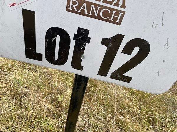 12 Acres of Recreational & Residential Land for Sale in Gustine, Texas