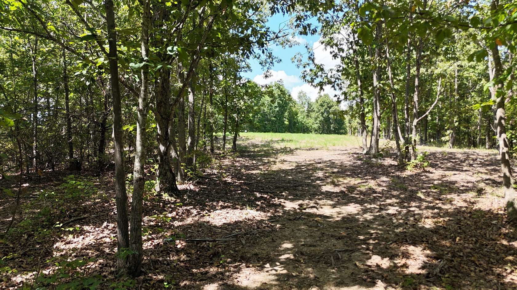 8.3 Acres of Residential Land for Sale in Linden, Tennessee