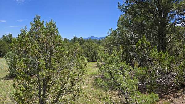 10 Acres of Land for Sale in Trinidad, Colorado