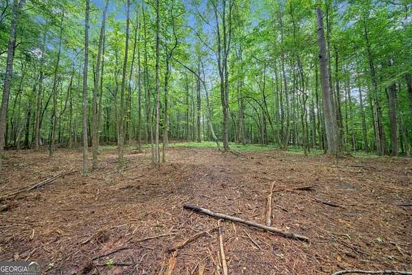 3.43 Acres of Residential Land for Sale in Milton, Georgia