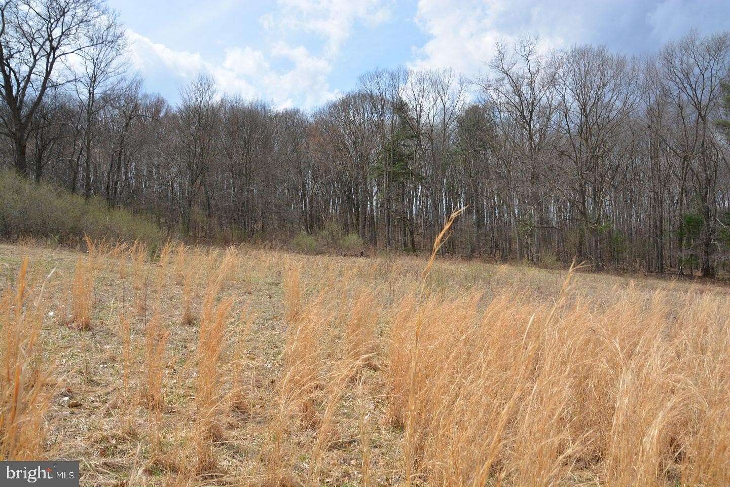 11 Acres of Recreational Land for Sale in Clearville, Pennsylvania