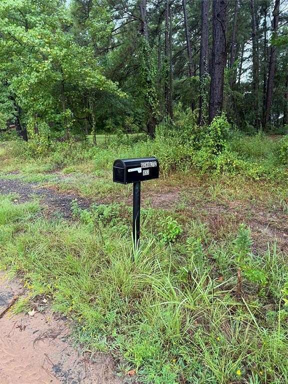 1 Acre of Residential Land for Sale in Big Sandy, Texas