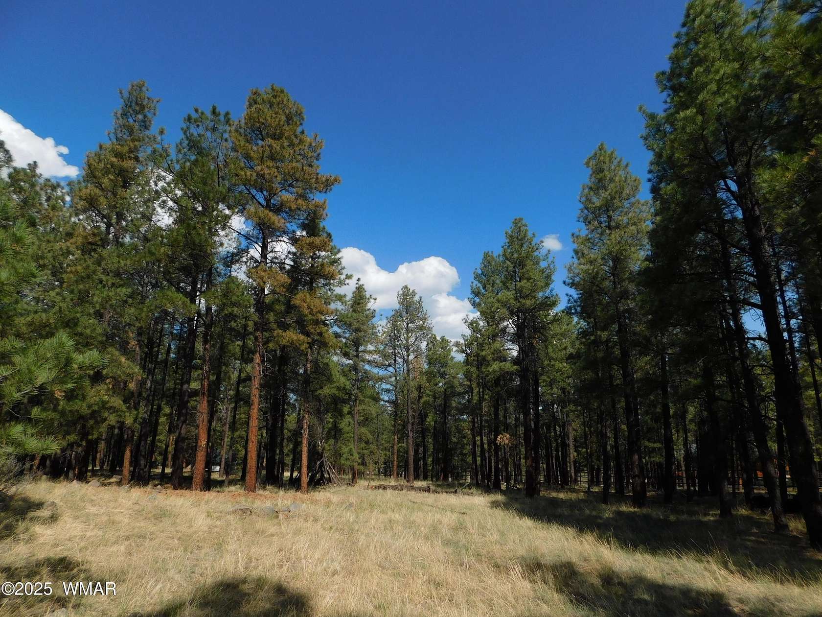 1.17 Acres of Residential Land for Sale in Greer, Arizona