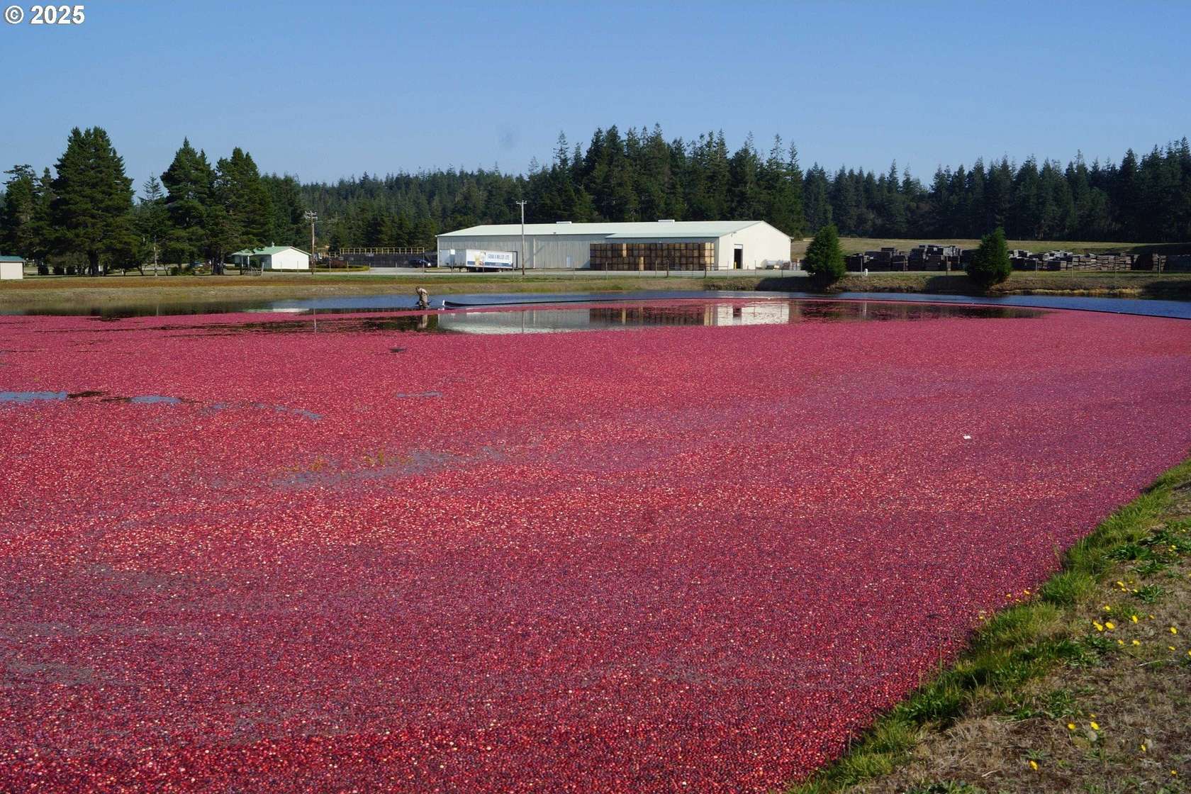 237 Acres of Improved Agricultural Land for Sale in Bandon, Oregon